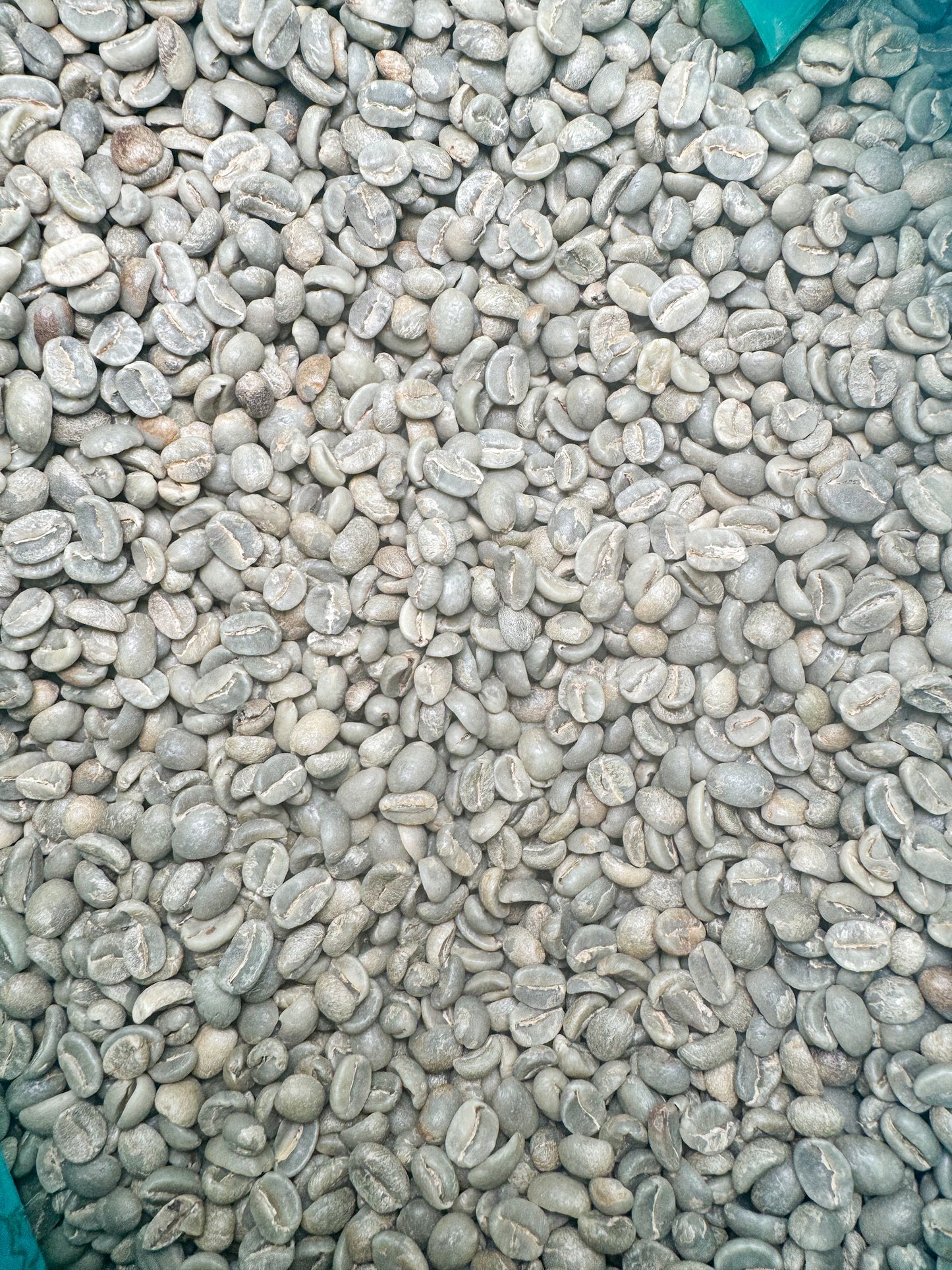 Guatemala Huehuetenango